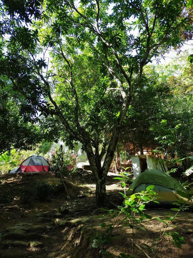 Hostal Dos Quebradas Σάντα Μάρτα Εξωτερικό φωτογραφία